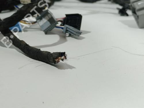 Wiring harness NISSAN INTERSTAR Platform/Chassis (XDE) DCI 170 | BP29815140E16 