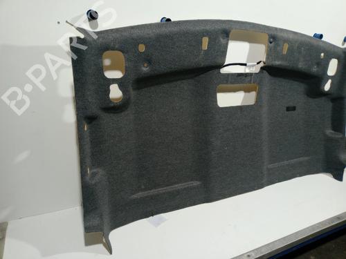 Interior roof NISSAN INTERSTAR Platform/Chassis (XDE) DCI 170 | BP29815166I12 