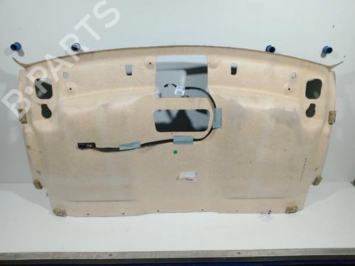 Interior roof NISSAN INTERSTAR Platform/Chassis (XDE) DCI 170 | BP29815166I12 