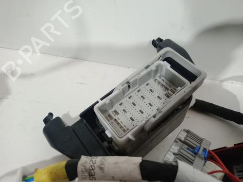 Ledningsnet NISSAN INTERSTAR Platform/Chassis (XDE) DCI 170 | BP29854321E16 