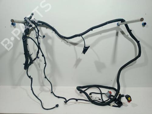 Cablaggio NISSAN INTERSTAR Platform/Chassis (XDE) [2024-2025]  29854322