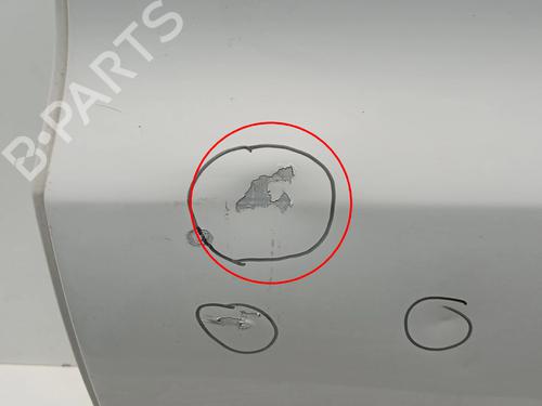 Left rear door VW TIGUAN (5N_) 2.0 TDI | BP31164964C4