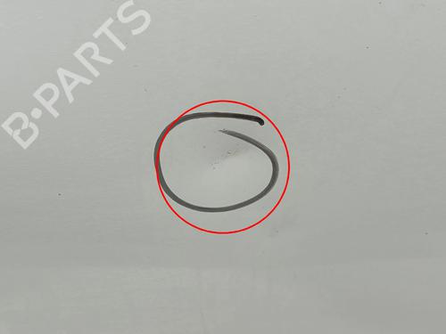 Left rear door VW TIGUAN (5N_) 2.0 TDI | BP31164964C4