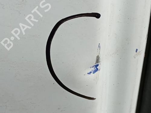 Left tailgate RENAULT MASTER III Van (FV) | BP31205146C76 - Image 7