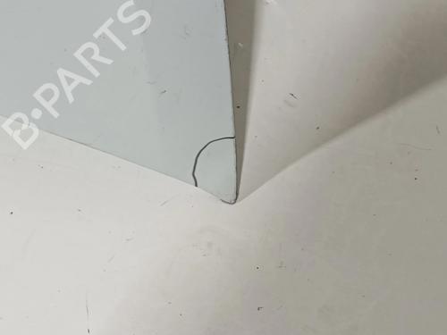 Hood RENAULT MASTER III Van (FV) | BP31190421C1