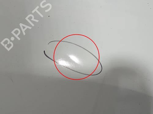 Hood RENAULT MASTER III Van (FV) | BP31190421C1