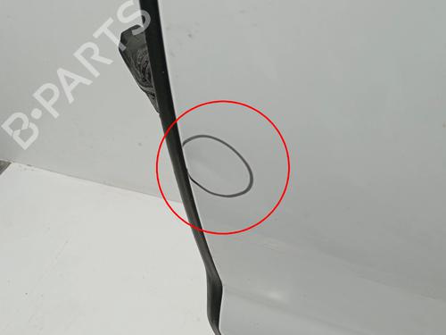 Left rear door LAND ROVER RANGE ROVER EVOQUE Convertible (L538) | BP32092439C4