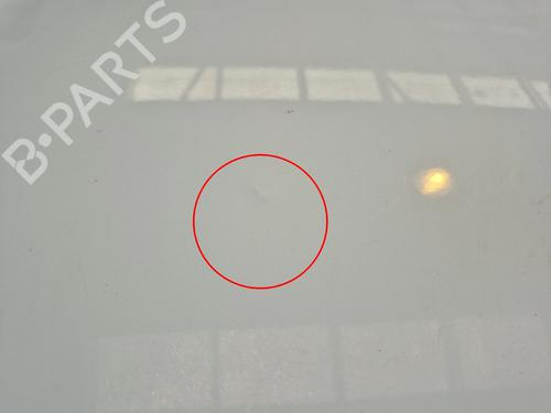 Hood OPEL COMBO Box Body/MPV (X12) 1.3 CDTI (B05) | BP32110637C1