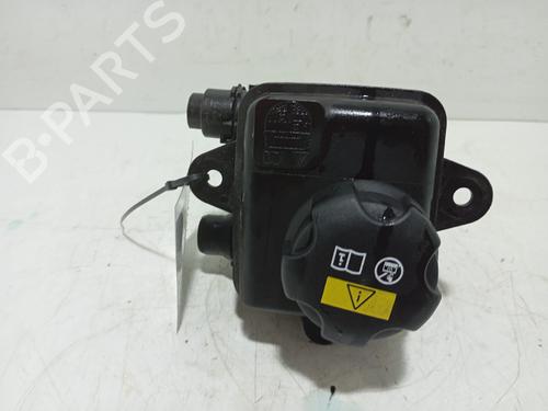 vaso-de-expansao-bmw-i3-i01-2013-29124102 main image