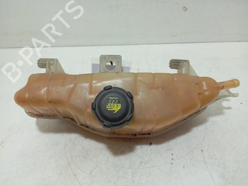 ekpansionstank-renault-clio-iii-hatchback-van-sb_-sr_-2005-33706154 main image