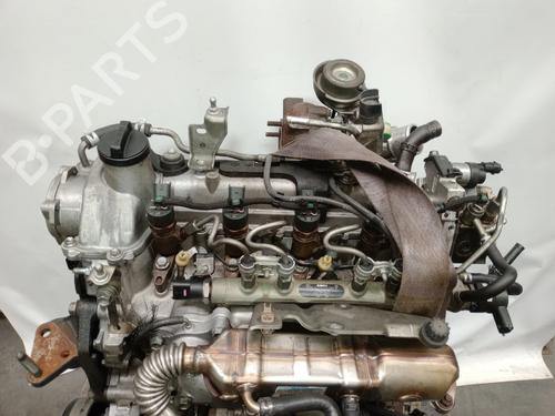 Engine TOYOTA COROLLA (_E12_) 1.4 D (NDE120_, NDE120R) | BP31717998M1  - Image 6