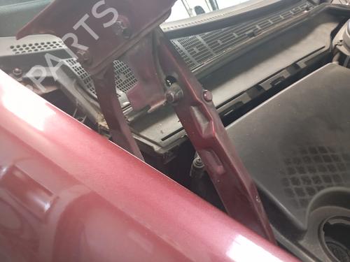 hingedoor-check-strap-mercedes-benz-c-class-w202-1993-1994-1995-1996-1997-1998-1999-2000-38753420 main image