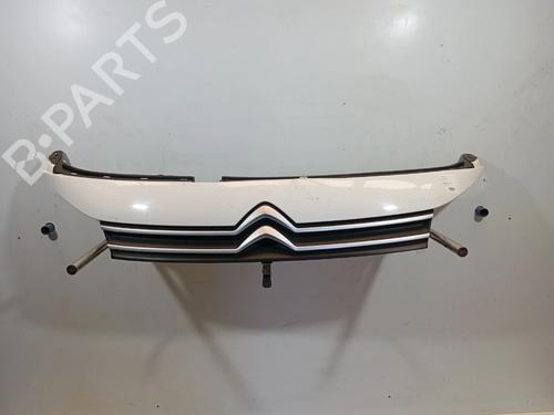 Used Grille Grille 39405054 39405054