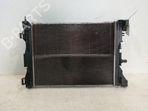 Used Water radiator Water radiator RENAULT ZOE (BFM_) [2012-2026] 39598941 39598941