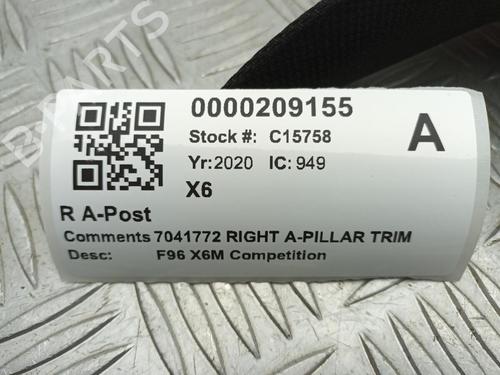 Interior roof BMW X6 (G06, F96) xDrive M 50 d | BP29650499I12 