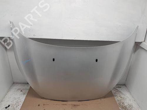 Hood FORD FIESTA VI Van 1.6 TDCi | BP29667219C1 