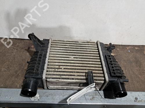 Intercooler RENAULT CLIO III (BR0/1, CR0/1) 1.2 16V (BR0P, CR0P) | BP29666521M30