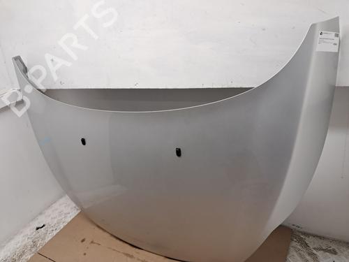 Hood FORD FIESTA VI Van 1.6 TDCi | BP29667219C1 
