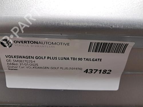 Bakluke CC/Kombi-Kupé VW GOLF PLUS V (5M1, 521) 1.9 TDI | BP29670781C6