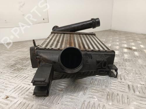 Intercooler RENAULT CLIO IV (BH_) 0.9 TCe 90 (BHNF, BHMA, BHMH, BHJK, BHJR) | BP29655778M30 