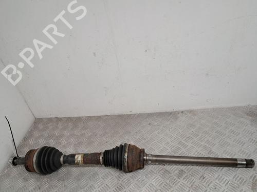 BP29682025M39 main image