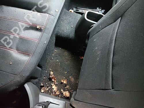 Sicherheitsgurt hinten rechts VAUXHALL CORSAVAN Mk III (D) Hatchback Van (S07) 1.3 CDTI | BP29683639I28 