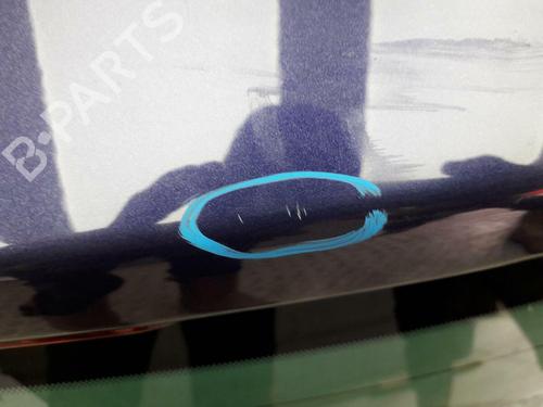 Tailgate CITROËN DS3 (SA_) 1.6 Racing | BP29646005C6