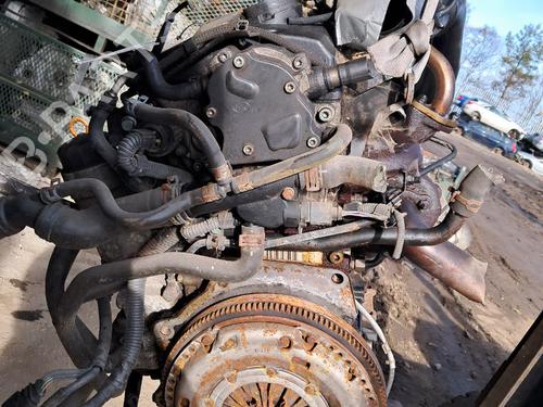 Engine VW GOLF IV (1J1) 1.9 TDI | BP29662144M1