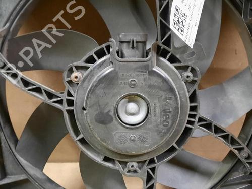Fan PEUGEOT 207 CC (WD_) 1.6 16V | BP29647950M128