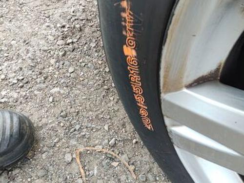 Dämpfer vorne links MERCEDES-BENZ A-CLASS (W169) A 170 (169.032, 169.332) | BP29668036M16 