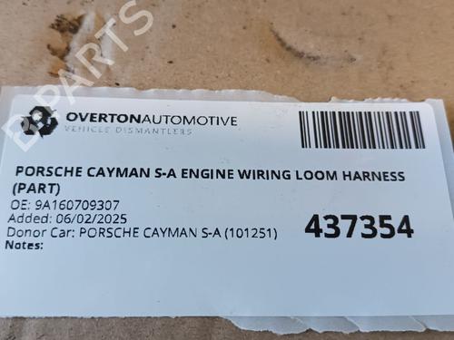 Wiring harness PORSCHE CAYMAN (981) 2.7 | BP29670847E16