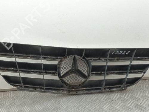 Grille MERCEDES-BENZ A-CLASS (W169) A 170 (169.032, 169.332) | BP29668027C40 