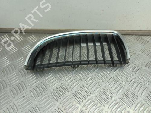 Grille BMW 3 (E90) 318 i | BP29647461C40 