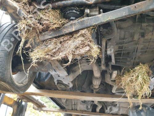 Fuel tank JAGUAR X-TYPE I (X400) 2.1 V6 | BP29648446C62 