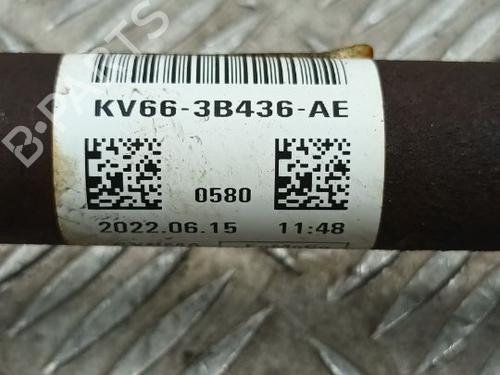 Right front driveshaft FORD TOURNEO CONNECT / GRAND TOURNEO CONNECT V408 MPV 1.0 EcoBoost | BP29687431M39