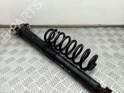 Used Right rear shock absorber VW TIGUAN (AD1, AX1) 2.0 TDI (150 hp) 29660427