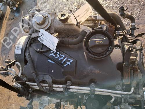Engine VW GOLF PLUS V (5M1, 521) 1.9 TDI | BP29666985M1