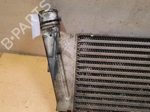 Intercooler RENAULT GRAND SCÉNIC II (JM0/1_) 1.9 dCi (JM0G, JM12, JM1G, JM2C) | BP29647915M30 