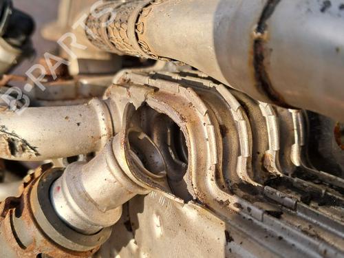 Engine VW GOLF PLUS V (5M1, 521) 1.9 TDI | BP29666985M1
