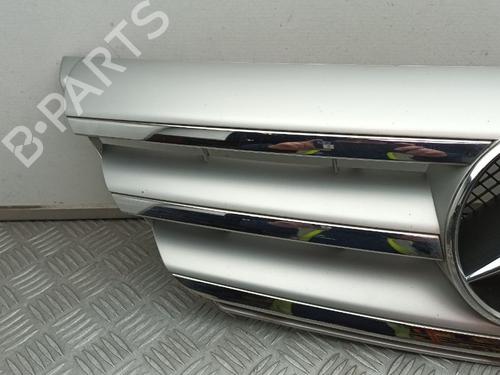 Grille MERCEDES-BENZ A-CLASS (W169) A 170 (169.032, 169.332) | BP29668027C40 