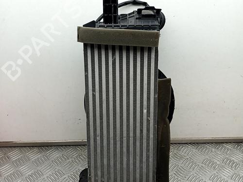 Intercooler FORD TOURNEO CONNECT / GRAND TOURNEO CONNECT V408 MPV 1.5 EcoBlue (101 hp) 29902665