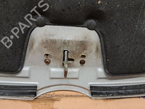 Hood FORD FIESTA VI Van 1.6 TDCi | BP29667219C1 