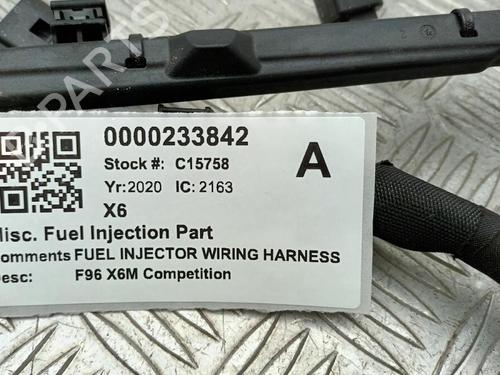 Wiring harness BMW X6 (G06, F96) xDrive M 50 d | BP29651424E16 