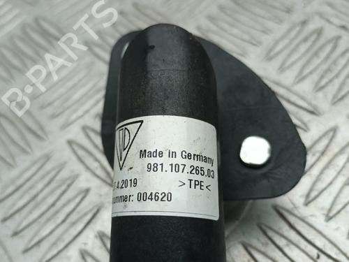 Pipe PORSCHE 718 CAYMAN (982) 4.0 GT4 (982810, 982811) | BP29680198M125 