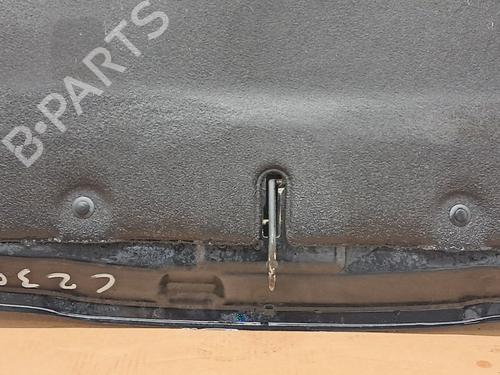 Hood PEUGEOT 3008 I MPV (0U_) 1.6 THP | BP29675216C1