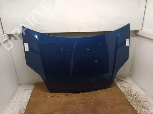 Used Hood FORD FIESTA V (JH_, JD_) 1.25 16V (75 hp) 29666609