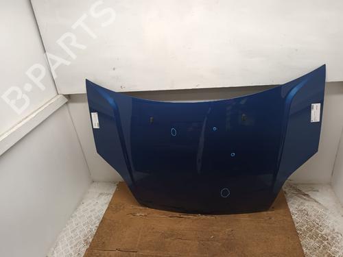 Hood FORD FIESTA V (JH_, JD_) 1.25 16V | BP29666609C1 