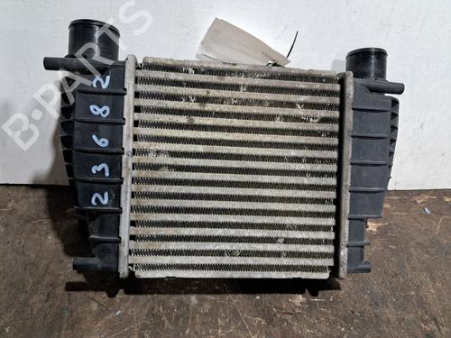 Intercooler RENAULT CLIO III (BR0/1, CR0/1) 1.2 16V (BR0P, CR0P) | BP29666521M30