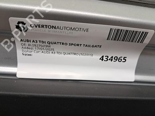 Bagklap CC/Kombi-Coupé AUDI A3 (8L1) 1.9 TDI quattro | BP29669875C6