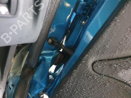 Glove box RENAULT MEGANE III Hatchback (BZ0/1_, B3_) 1.5 dCi (BZ09, BZ0D, BZ1W, BZ29, BZ14) | BP29650174C95 